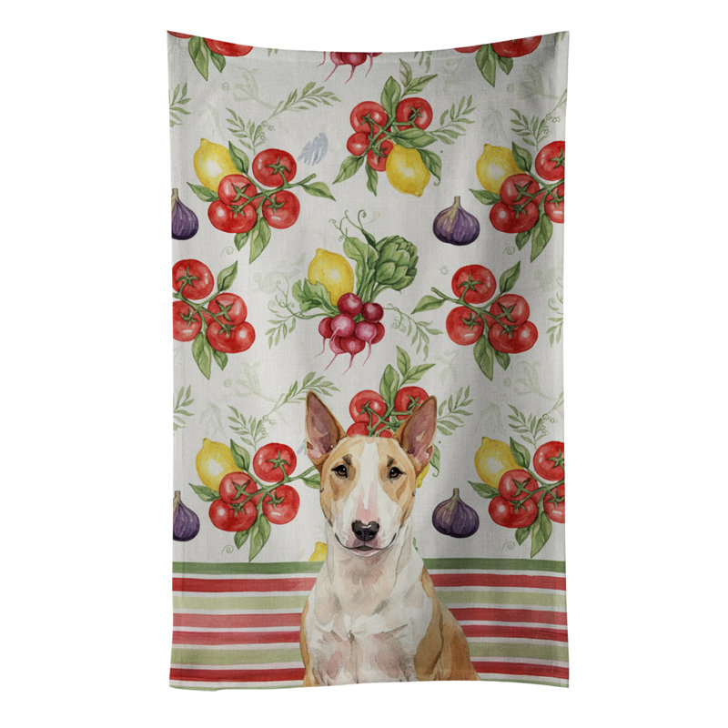 Torchon fauve et blanc Bull Terrier, Bull terrier fauve / blanc