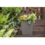 Jardinière carrée en osier 15 po, café foncé