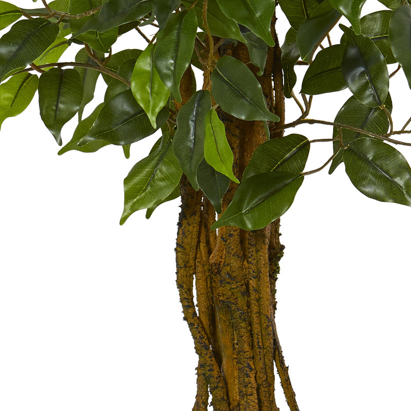 Ficus Artificial Tree