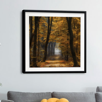 Speuldimensions - reproduction de photo