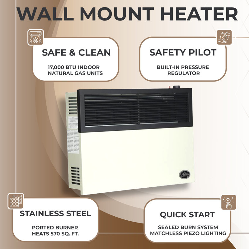 Ashley Hearth Products 17000 BTU Propane Wall-Mounted Space Heater