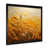 Black Picture Framed