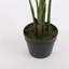 Faux Palm Plant in Plastic Pot-599243177