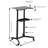 30.71'' H x 24.8'' W Laptop Cart