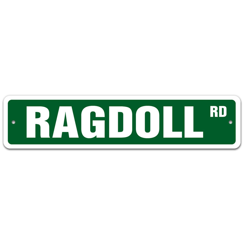 Plaque de rue Ocracoke, H 6 po x l 24 po x P 0,1 po