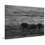 Parvez Taj - Wrapped Canvas Print-15986631