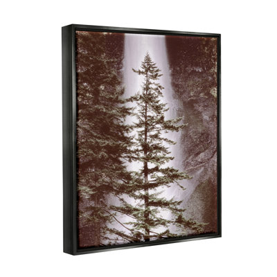 «Millwood Pines Waterfall Nature», photographie d'art encadrée sur toile flottante par Dennis Frates