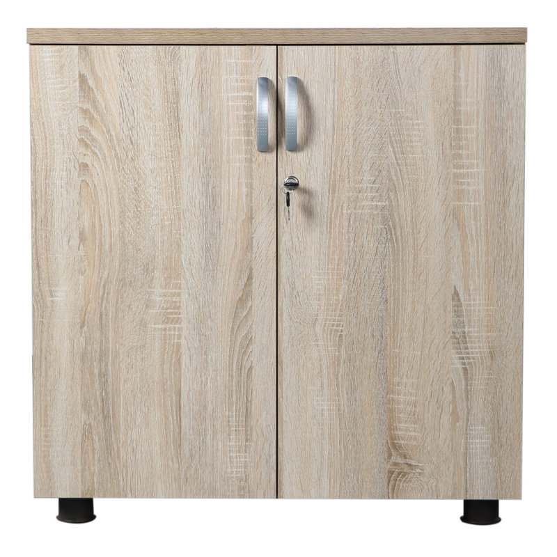 Ekaterini 2 -Door 1 -Shelf Storage Cabinet