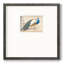 «Golden Peacock Iiompemium», reproduction encadrée-88071229-88449432