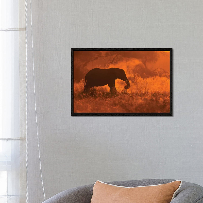 Elephant In Savute by Mario Moreno - Print on Canvas, 45.72cm H x 66.04cm W x 3.81cm D, Black Floater Framed