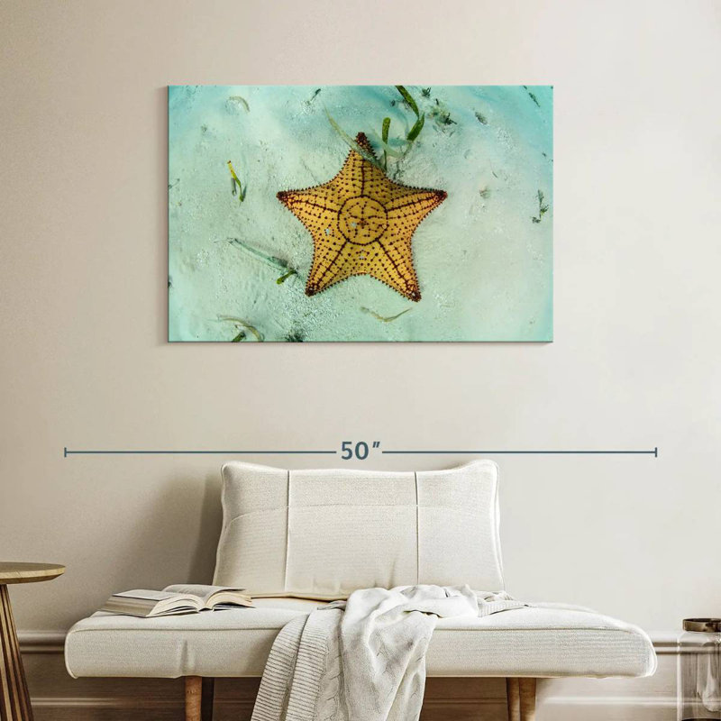 Crowle Starfish Underwater, 26" H x 39" W