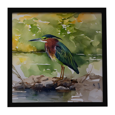 Green Heron, reproduction d'art encadrée