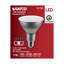11 Watt Gray LED Bulb