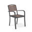 Disassemble plastic wood armchair-1822094858