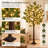 Eucalyptus Tree Floor Lamp with Warm LED Lights