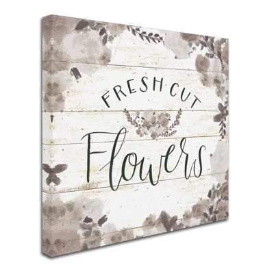 Beautiful Country VI Neutral on Shiplap' Graphic Art Print on Wrapped Canvas -  Trademark Fine Art, WAP01456-C1414GG