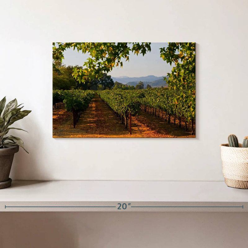 Alvord Napa Vineyard Sunset, H 8 po x l 12 po