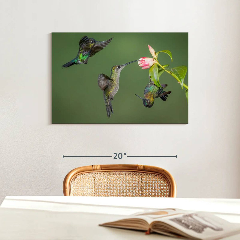 Brampt Three Hummingbirds, 16" H x 24" W