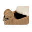 Ram Upholstered Decorative Stool