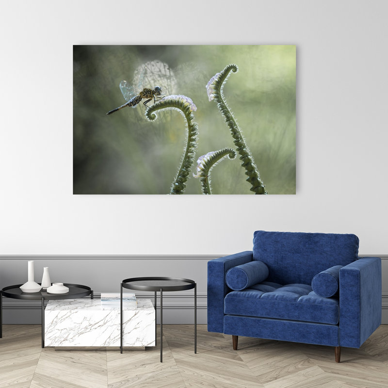 Libellule sur une courbe douce, délicate, paisible et sereine, impression d'art mural représentant une libellule, la nature et les plantes