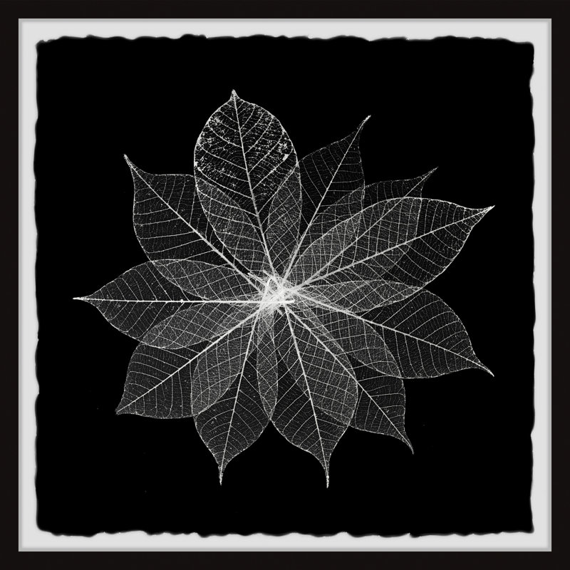 Leaf Splash - Single Picture Frame Painting, 61cm H x 61cm W x 3.81cm D