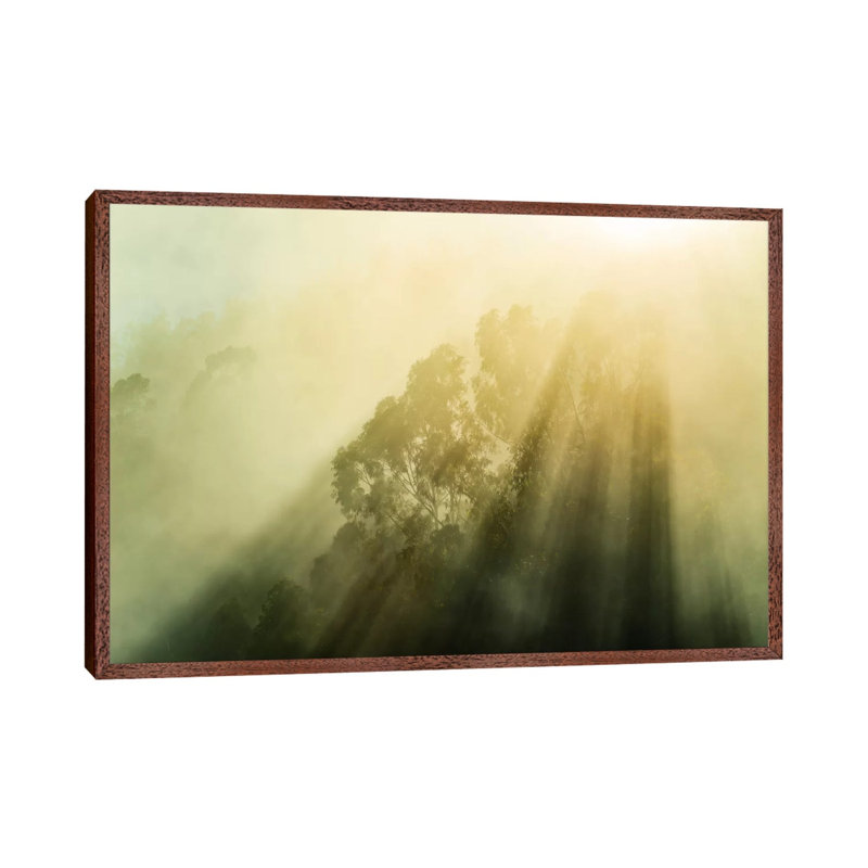 Fogalyptus by Stefan Hefele - Gallery-Wrapped Canvas Giclée on Canvas, 101.6 cm H x 66.04 cm W, Classic Wood Framed