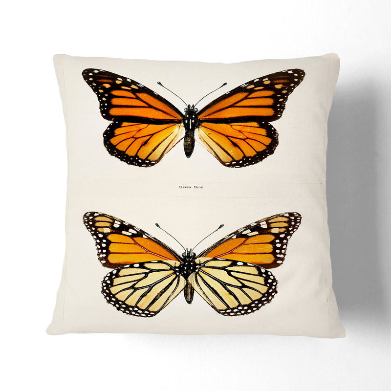 Square Throw Cushion, 55cm H x 55cm W x 20cm D