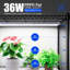 Support pour plante Barrina Cx3
