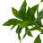 Rona Tree-Rona Tree-8'