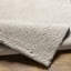Lizan Shag Area Rug-22156400