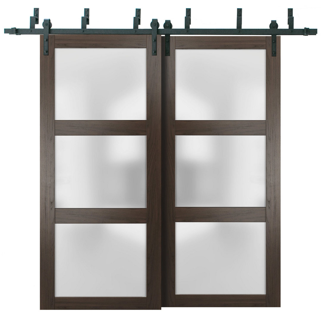 Lucia Frosted Glass Barn Doors with Installation Hardware Kit SARTODOORS