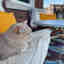 Photos des clients 1 de 1