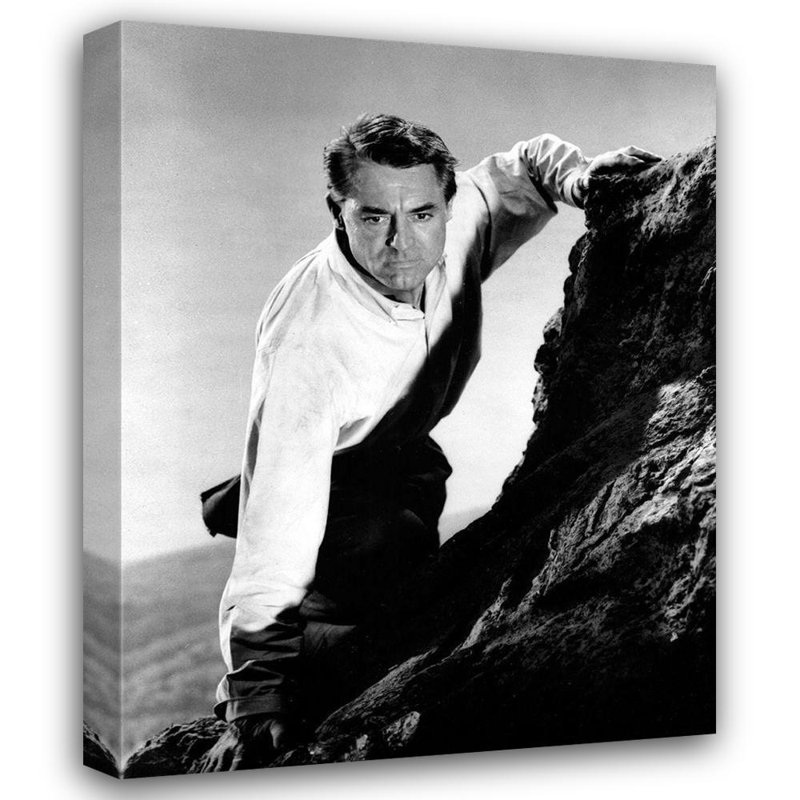 Hollywood Gallery, art photographique sur toile: Cary Grant, North By Northwest (64_489019)