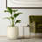 Dorlis Fiberstone Pot Planter-888476457-888476461