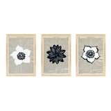 Flowers Set Of 3 Print by Michela Sorrentino