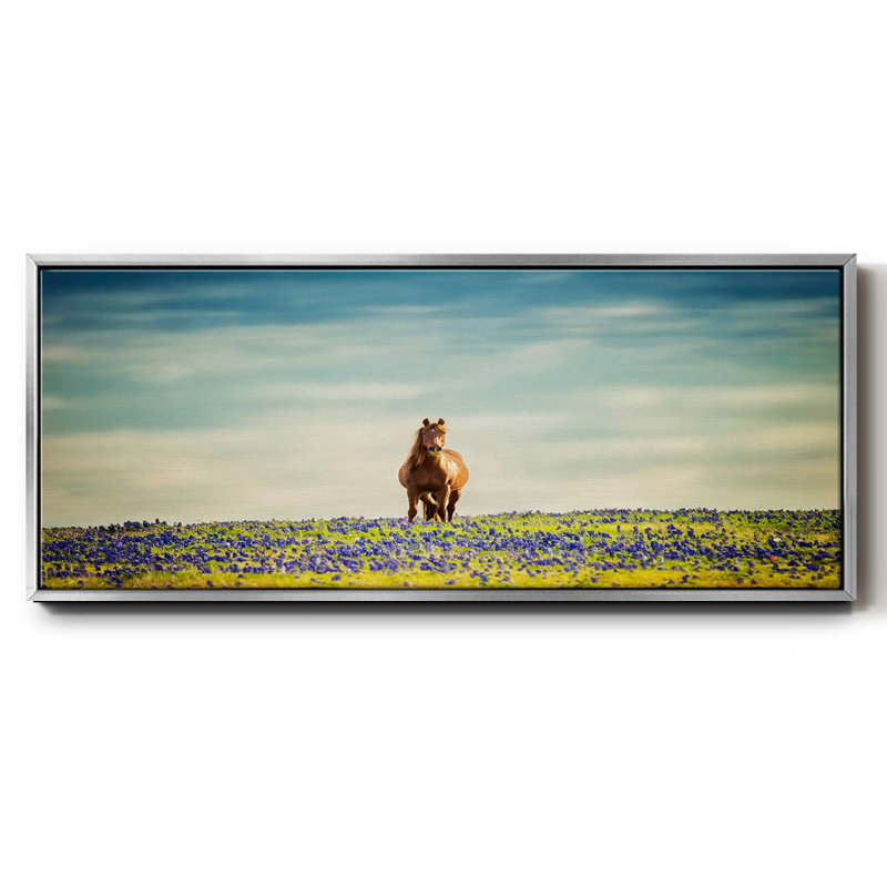 Sunlit Midwest II- Framed Canvas, 20" H x 50" W