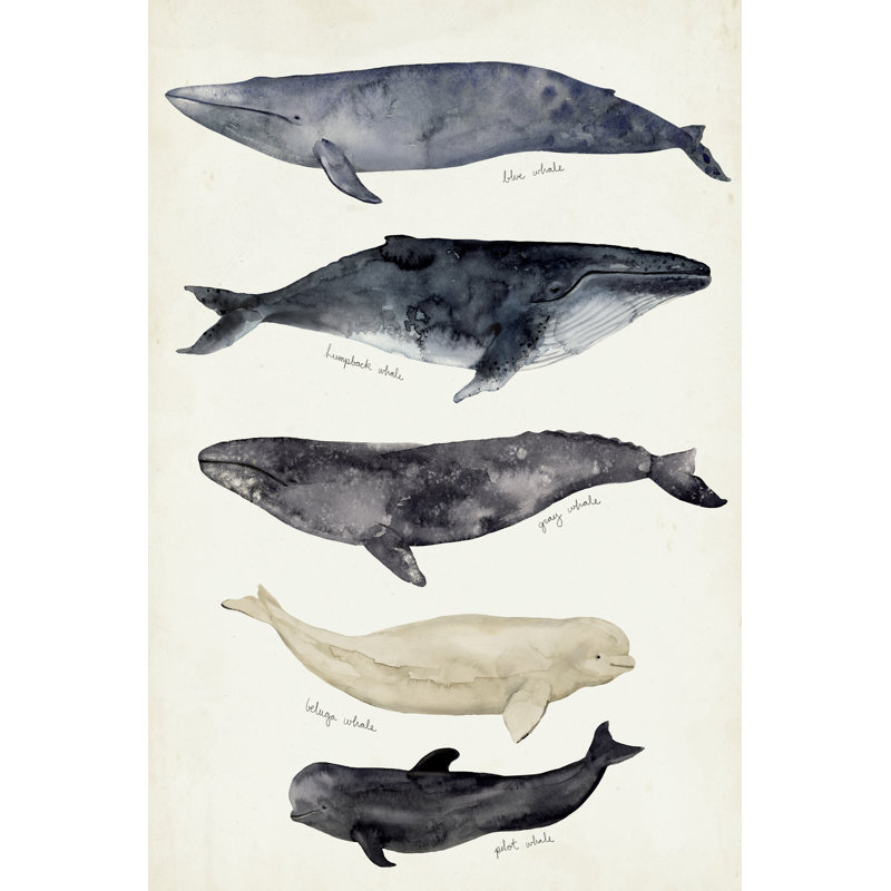 Whale Chart II by Victoria Barnes - Painting on Canvas, 30 cm H x 20 cm W, Wrapped Canvas