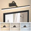 Iron LED Flush Mounted Sconce-1078490608