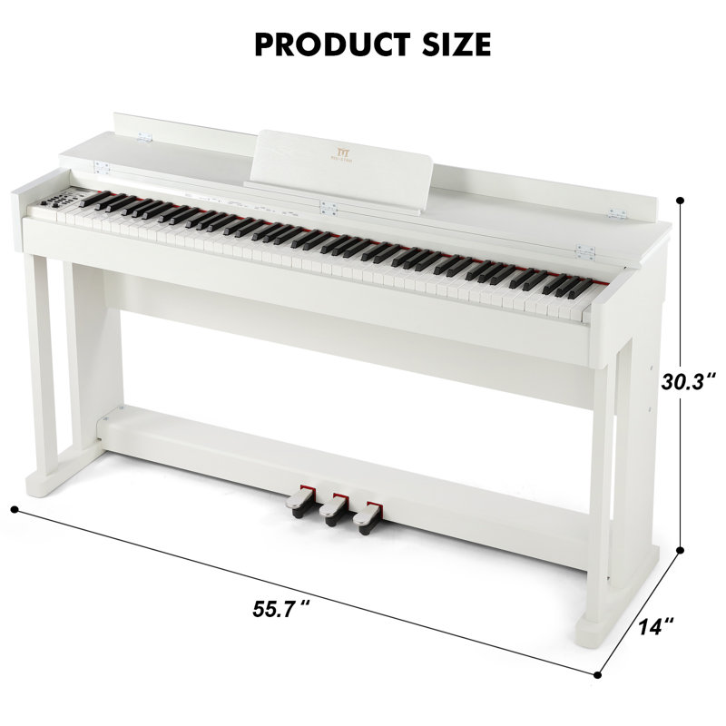 Ensemble d'instruments de musique en bois, Blanc