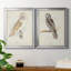 Barn Owl - Ensemble de 2 peintures sur toile encadrées-42979505-42979509