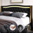 Areyon Upholstered Wingback Storage Bed-1745005804-1745005800