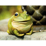 Everlea Frog Statue