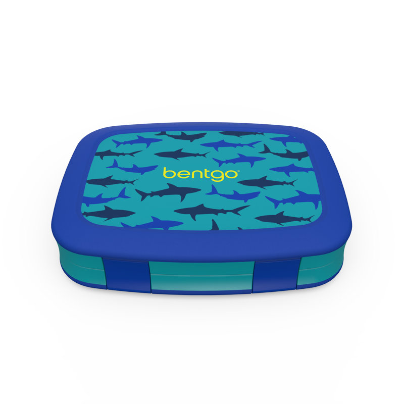 Boîtes à bento Shark Kids