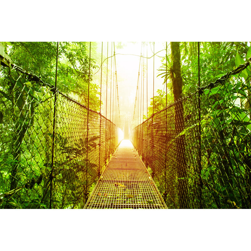 Arenal Hanging Bridges Park Of Costa Rica by Anna_Om - Wrapped Canvas Print, 30cm H x 46cm W 