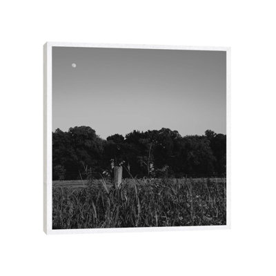Summer Moon II 1 Piece Wall Art on Canvas