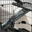 Cage pour petits animaux 60 po avec roulettes, cage à 6 niveaux portable, cage de furet Chinchilla avec plateau amovible, plateformes et rampes, noir