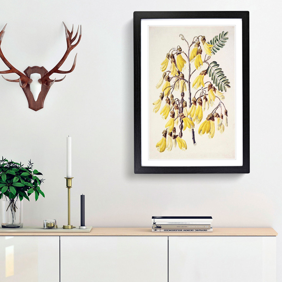 Kowhai Flowers by Sarah Featon - Picture Frame Art Print