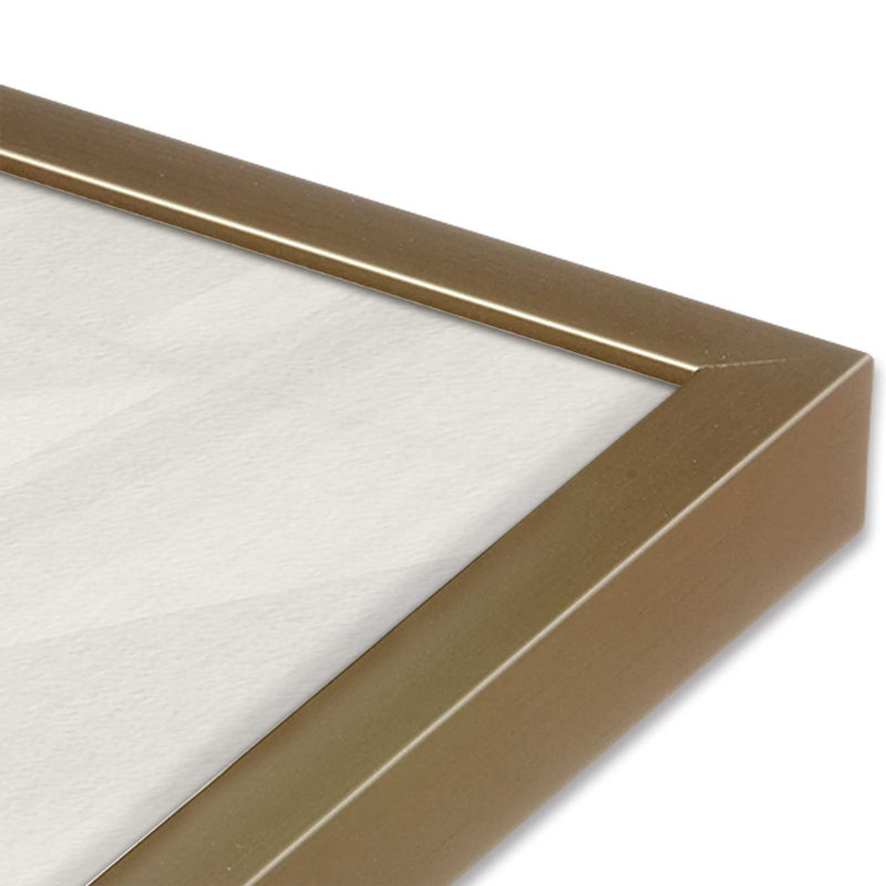 Taste of Rainbow, Single Picture Frame Brushed Gold, 17.25" H x 13.25" W