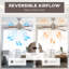 Caisha Ceiling Fan with LED Lights-832295924