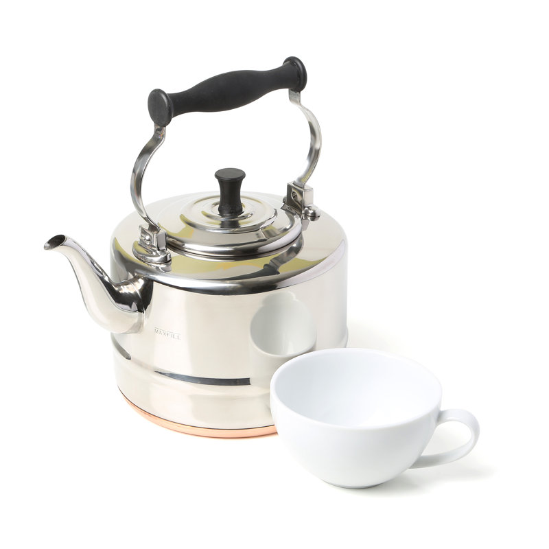 2-Quart Silver Stainless Steel Gooseneck Teapot